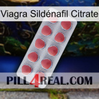 Viagra Sildénafil Citrate 18